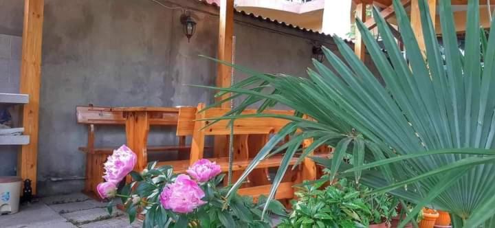 Family Hotel Bohemi II Primorsko Zewnętrze zdjęcie